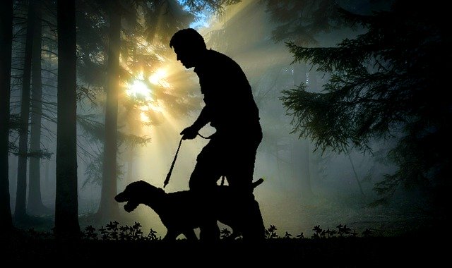 Voulez-vous vous initier à la chasse ?